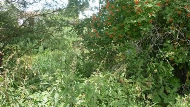 Борнуково. смотреть онлайн