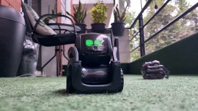 Cozmo & Vector Goes To The Balcony!