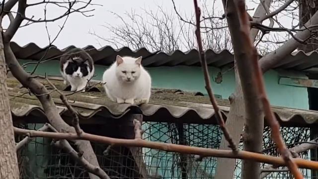 Ейск.? Заливка бетонного пола в летней кухне завершается))