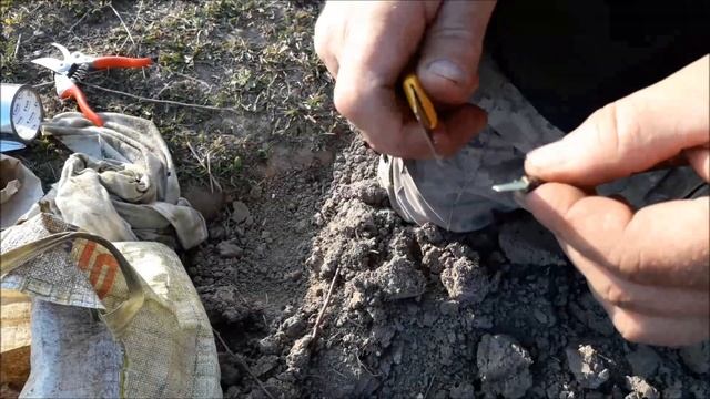 Прививка яблони в расщеп весной смотреть онлайн