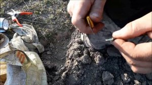 Прививка яблони в расщеп весной