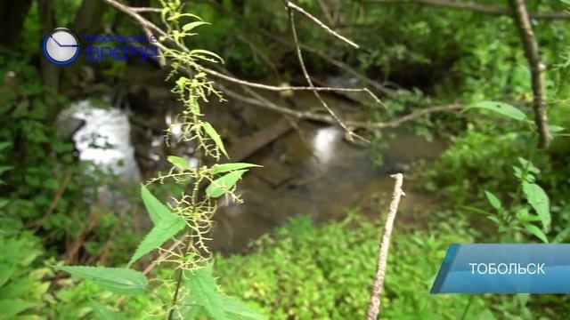 ТОБОЛЬСКИЕ ВОДОПАДЫ смотреть онлайн