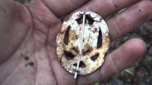 Немецкие награды в Русском лесу Раскопки Второй мировой