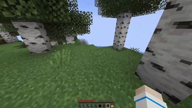 Trying To Build A Tower With Random Blocks [Minecraft Block Swap]