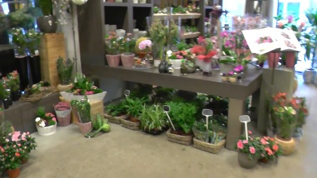Голландия! Цветочный магазин внутри продуктового магазина. Неймеген, Nijmegen (Netherlands).