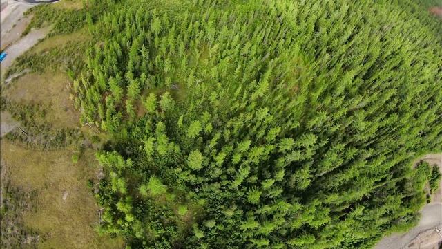 Плато Путорано, озеро Лама, июль 2022г (Putorano Plateau, Lama Lake, July 2022) смотреть онлайн