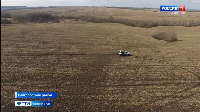Аграрии Белгородской области ведут подкормку озимых культур смотреть онлайн