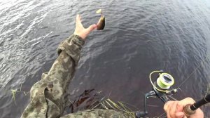 Рыбалка На Спиннинг.Лоухский Район Северной Карелии