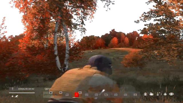 back to 505 | #BEREZA | #dayzstandalone #dayz смотреть онлайн