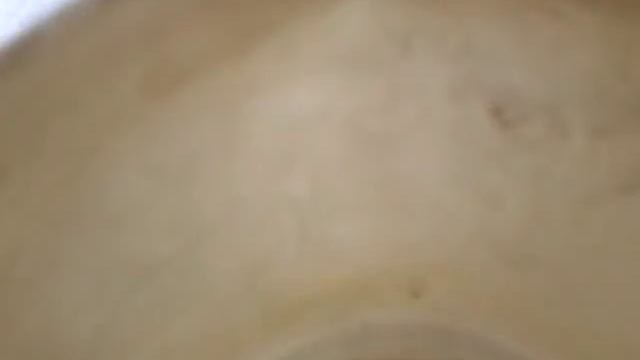 супер огромный жук-плавунец смотреть онлайн