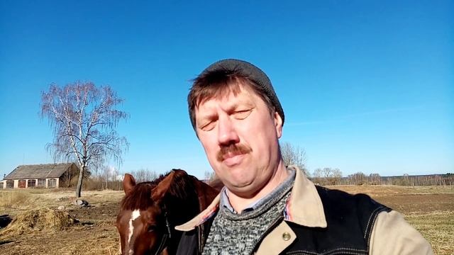 Поздравляю с праздником Пасхи. смотреть онлайн