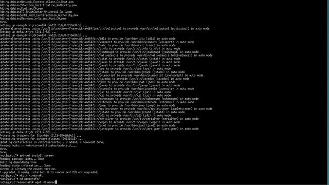 Minecraft server on Debian смотреть онлайн