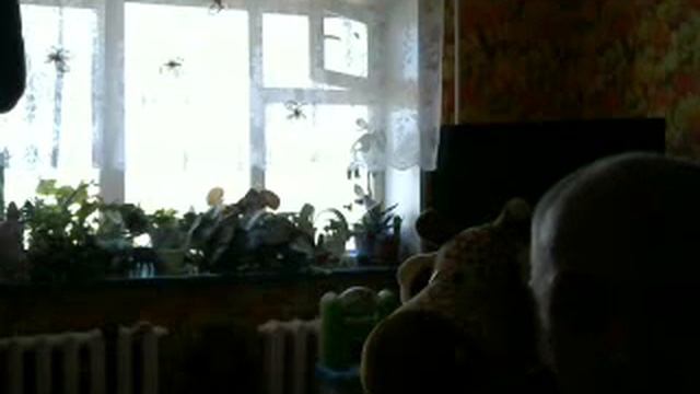 нравится за косу дёргают смотреть онлайн