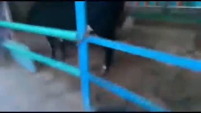 Поехала на ШОУ, сходила в контактный зоопарк и посмотрела фонтаны !!! ШОК... смотреть онлайн