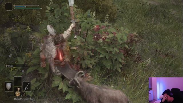 If I Die My Character is Deleted - Elden Ring смотреть онлайн