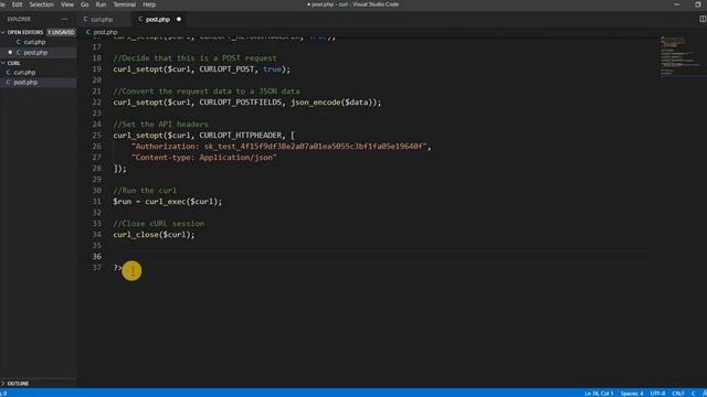 How to make a POST request in cURL to an API смотреть онлайн