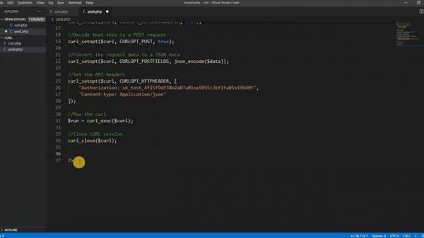 How to make a POST request in cURL to an API
