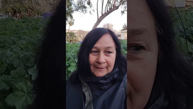 Землетрясение в Израиле вчера почувствовали многие смотреть онлайн