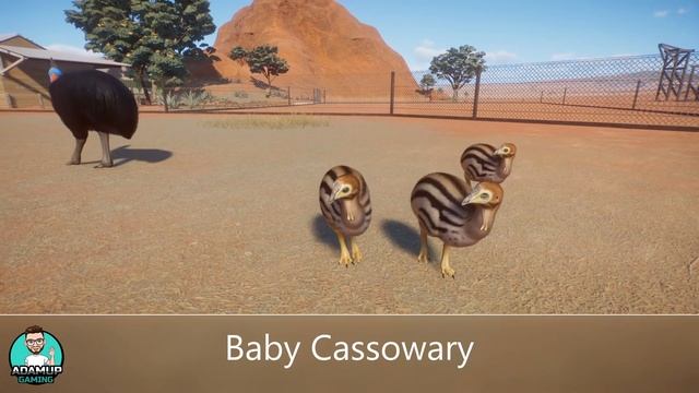 Planet Zoo: All The New Baby Animals and Animations (Australia DLC) смотреть онлайн