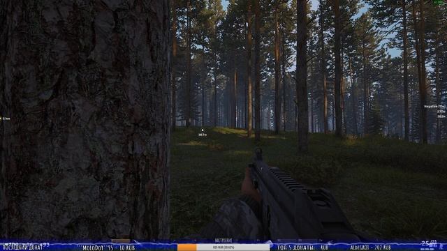 ?ВЫЖИВАЕМ в СУРОВОМ МИРЕ?☠ТЁМНАЯ СТОРОНА☠?Deadside?прямой эфир онлайн ? ▌Стрим ▌ смотреть онлайн