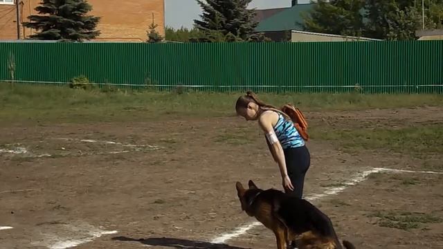 ОКД. Миганова Е. А. и Маджестик Олимпик Индо. смотреть онлайн