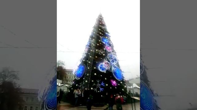 У елки на Кафедральной пл.в Вильнюсе (Литва) смотреть онлайн