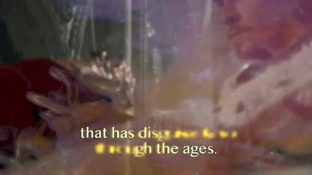 The King's Robes, by Rilke смотреть онлайн