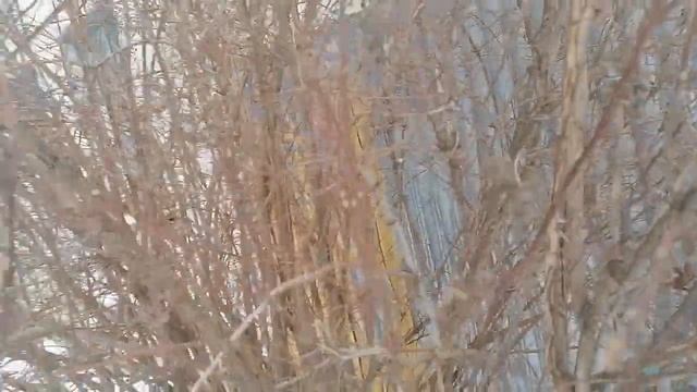 тест матрицы монитора смотреть онлайн