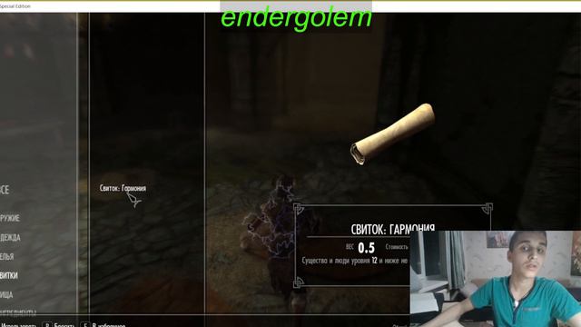 Лагерь негодяев#11 - Skyrim #endergolem смотреть онлайн