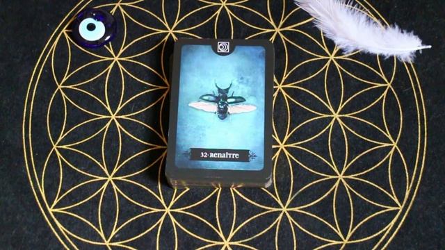 L'oracle d'Ishtar guidance deux choix et review #oracle #guidance #review смотреть онлайн