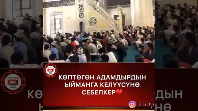 АлхамдулиЛаах что вы есть смотреть онлайн