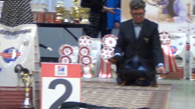 65 «ЛИГА ЧЕМПИОНОВ» Екатеринбург 24.02.18. Главный БЭСТ смотреть онлайн