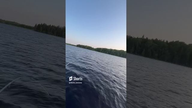 Щука без подсака в соло