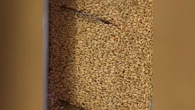 Мельница в Кромах смотреть онлайн