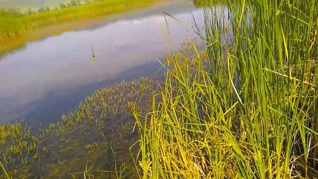 Мультик-волшебная рыбалка смотреть онлайн