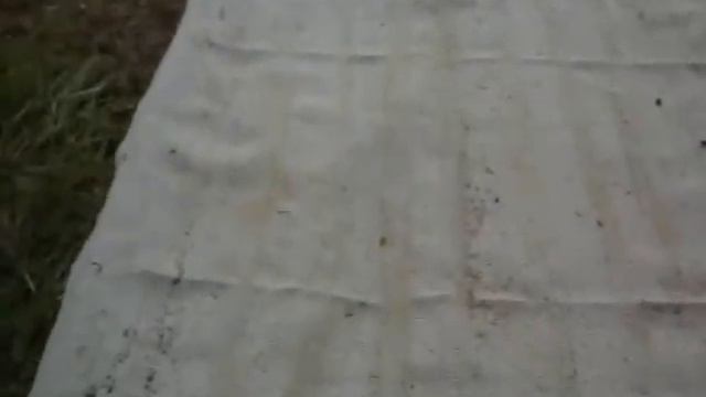 Пчеловодство. Роевой период. 8 признаков-примет (2,3,4,5)