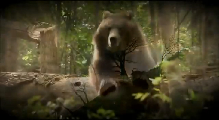 Дикая природа России  Приморье