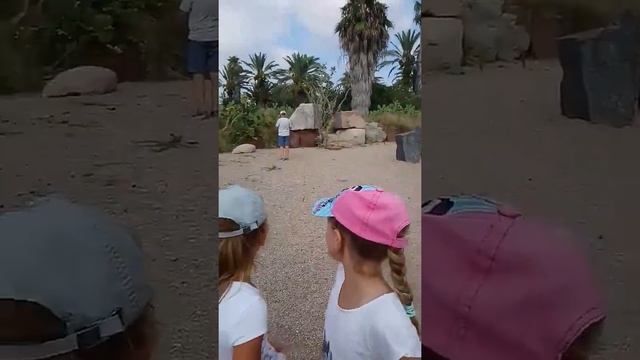 Прекрасный дедрариум Иланот. Парк Яркон смотреть онлайн