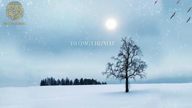 Ja'far Ibn AbuTolib Abdulloh Domla Sahobalar Hayoti || Абдуллох Домла Сахобалар Хаёти Ilmnuri