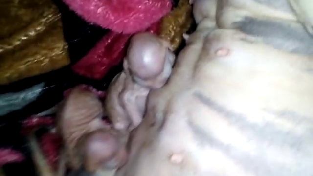 Первые роды кошки Сфинкса.Родилось пять котят смотреть онлайн