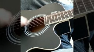 Акустическая гитара Elitaro E4020 черная