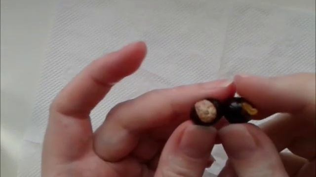 Лонган смотреть онлайн