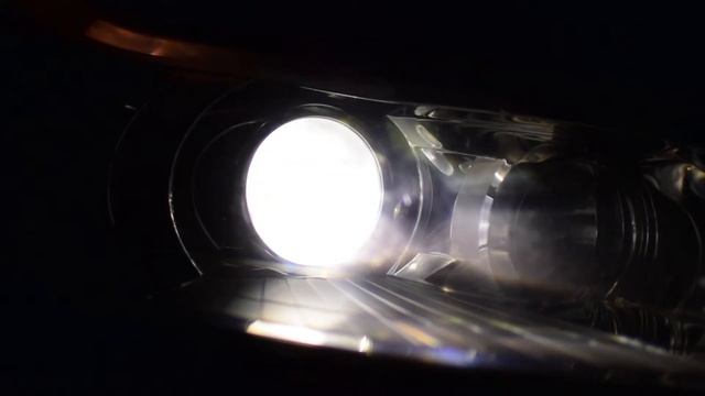 Citroen C4 Xenon's Noise