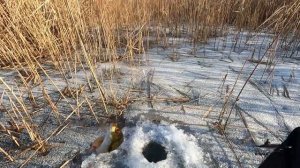 БЕЗМОТЫЛКА . Самые Универсальные Мормышки . Как правильно подобрать кивок ?