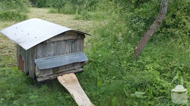 Tvari ir natūrali bitininkystė Tervydžių kaimo parke смотреть онлайн