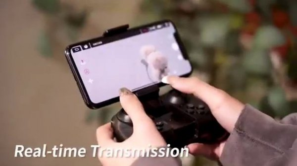 Lionkingdom(4DRC)4D-V28