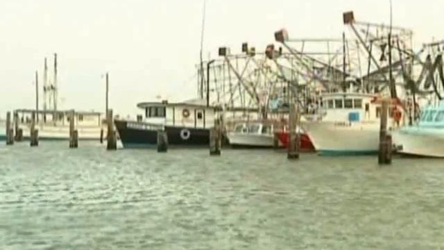 Ловцы креветок спустили паруса и ждут нефть смотреть онлайн