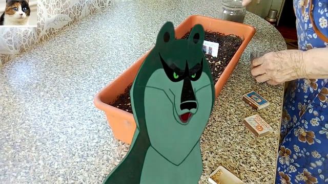 Посадка семян помидоров на рассаду смотреть онлайн