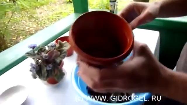 Гидрогель для цветов Посадка фиалок Часть 3 из 3 х смотреть онлайн