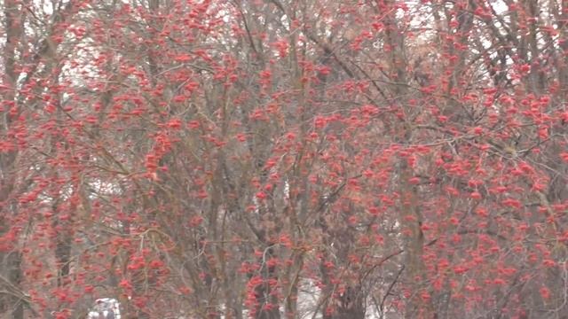 Новогодние украшения для женщин или золотые руки смотреть онлайн